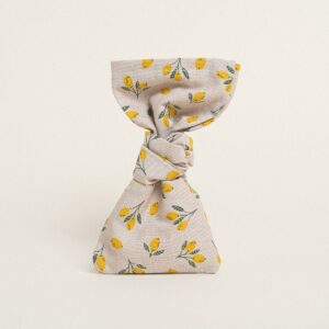 Beauty Home ΜΑΚΡΟΣΤΕΝΟ LARGE  12 x 38 cm  ΜΙΚΡΑ ΛΕΜΟΝΙΑ