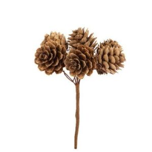 Beauty Home 6 Φυσικά Κουκουνάρια σε Κλαδάκι 11 cm