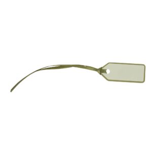 Beauty Home 10 Ετικέτες Χάρτινες με κορδέλα – Πράσινο Ευκάλυπτου 5 x 2 cm